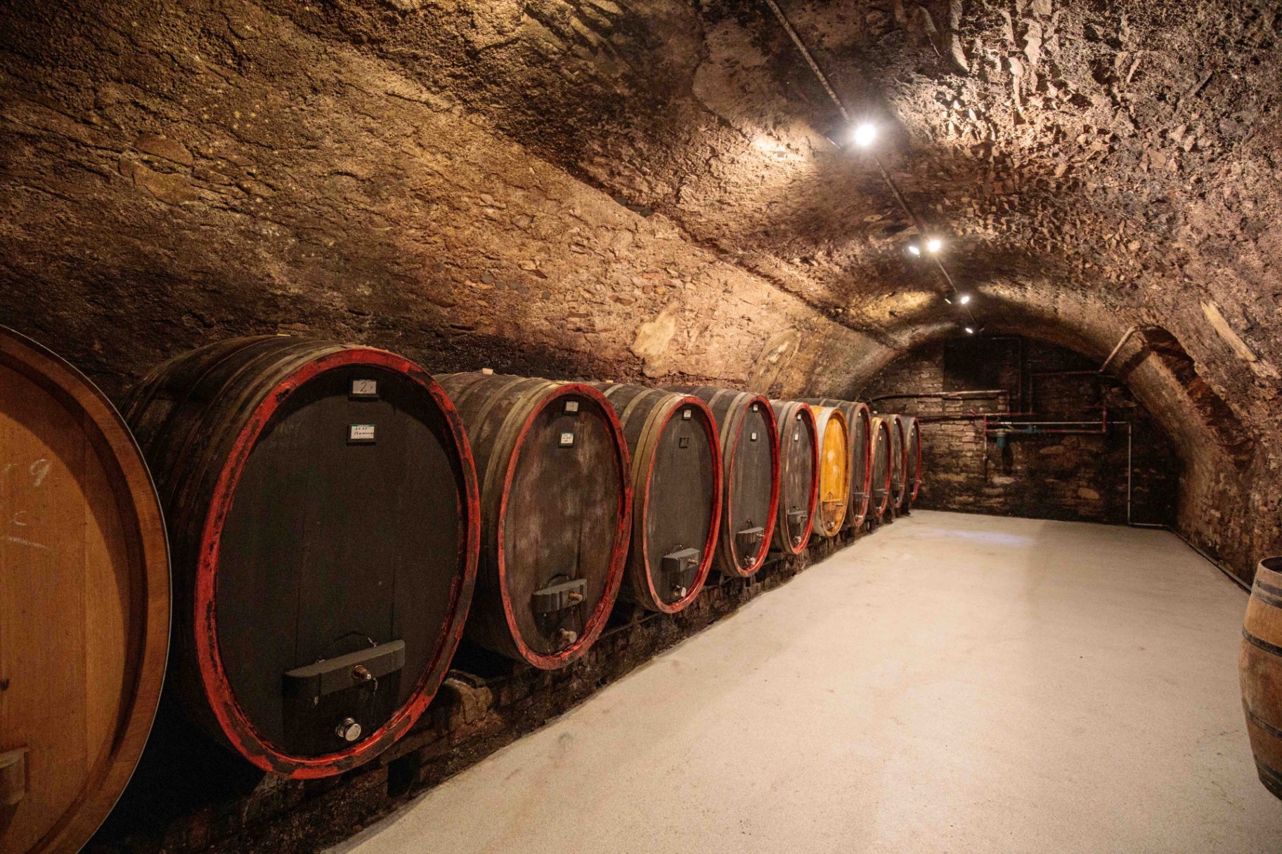 Underground stone cellar lined with traditional oak wine barrels