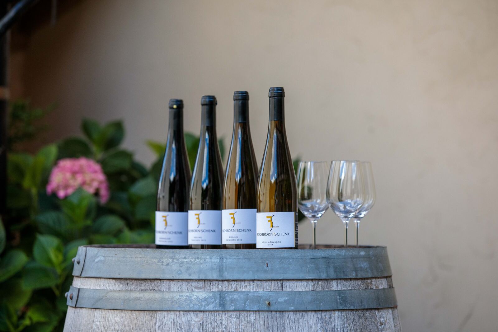 Fischborn-Schenk Müller-Thurgau bottles on a wine barrel beside hydrangeas